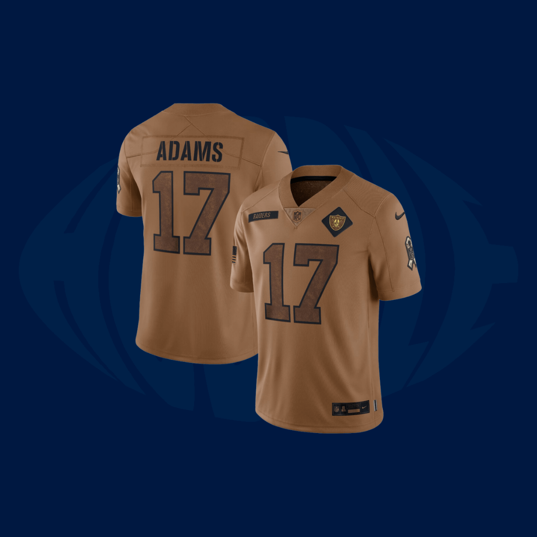 Jersey NFL Las Vegas Raiders Salute To Service 2023 - Snap Jersey